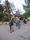 Maibaum 2009 159